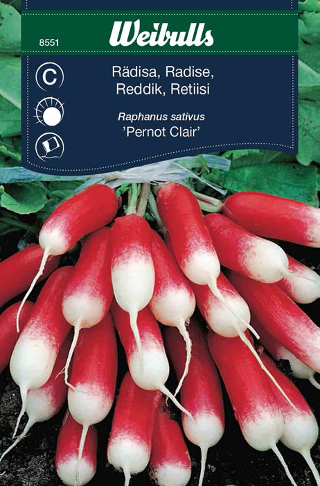 Radise 'Pernot Claire'